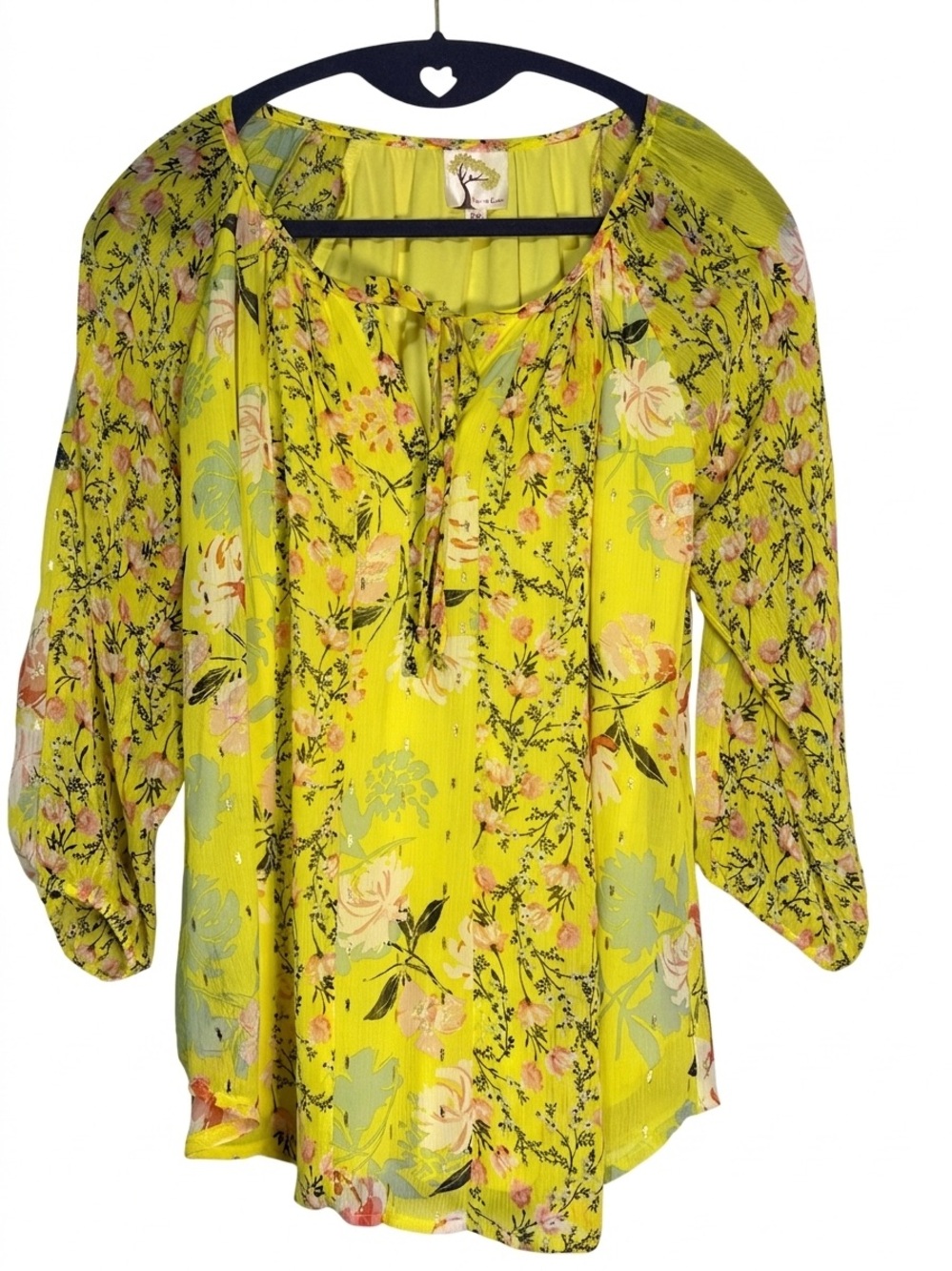 Anthropologie Fig and Flower Floral Metallic Chiffon Top Sz PS